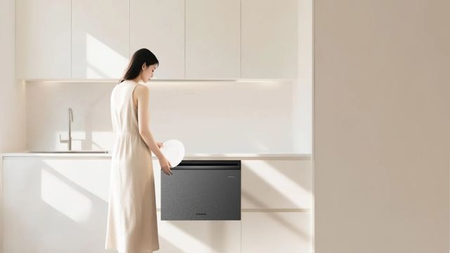 迎来技术大爆发时代!新葡京洗碗机行业正在(图2) 迎来技术大爆发时代!新葡京洗碗机行业正在(图2)